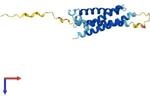 AlphaFold protein structure predicition of Human Recombinant MAL2 Protein, UniprotID Q969L2