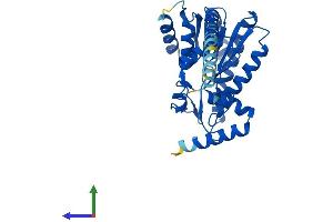 AlphaFold protein structure predicition of Mouse Recombinant Dhrs7b Protein, UniprotID Q99J47