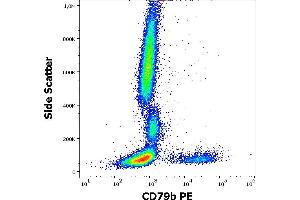 Flow cytometry surface staining pattern of human peripheral whole blood stained using anti-human CD79b (CB3-1) PE antibody (10 μL reagent / 100 μL of peripheral whole blood). (CD79b anticorps  (PE))