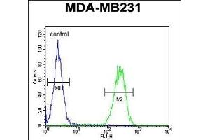 PRSS3 Antibody (N-term) (ABIN654446 and ABIN2844180) flow cytometric analysis of MDA-M cells (right histogram) compared to a negative control cell (left histogram). (PRSS3 anticorps  (N-Term))