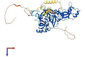 AlphaFold protein structure predicition of Human Recombinant MBTD1 Protein, UniprotID Q05BQ5