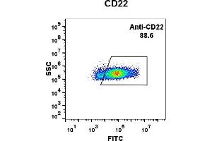Expi 293 cell line transfected with irrelevant protein (left) and human CD22 (right) were surface stained with Rabbit anti- CD22 monoclonal antibody 1 μg/mL (clone: DM13) followed by Alexa 488-conjugated anti-rabbit IgG secondary antibody. (CD22 anticorps  (AA 20-687))