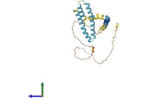 AlphaFold protein structure predicition of Human Recombinant REEP3 Protein, UniprotID Q6NUK4