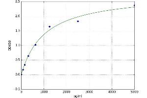 A typical standard curve