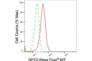 Flow cytometric analysis of NFE2 expression in HeLa cells using NFE2 antibody (ABIN7799633), 1:2,000). (Recombinant NFE2 anticorps)