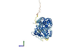 AlphaFold protein structure predicition of Mouse Recombinant Ehd3 Protein, UniprotID Q9QXY6