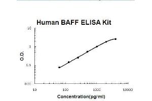 Human BAFF PicoKine ELISA Kit standard curve (BAFF Kit ELISA)