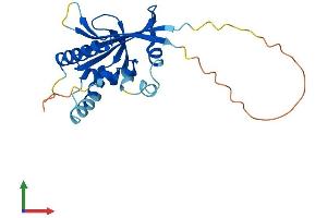 AlphaFold protein structure predicition of Mouse Recombinant Atg10 Protein, UniprotID Q8R1P4
