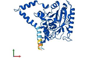 AlphaFold protein structure predicition of Mouse Recombinant Awat1 Protein, UniprotID A2ADU9
