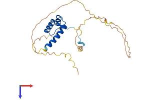 AlphaFold protein structure predicition of Mouse Recombinant Hoxb7 Protein, UniprotID P09024