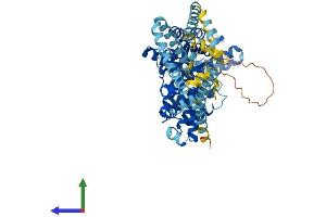AlphaFold protein structure predicition of Mouse Recombinant St7 Protein, UniprotID Q99M96
