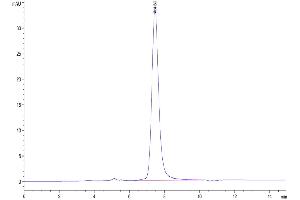The purity of  Human GFRAL is greater than 95 % as determined by SEC-HPLC.