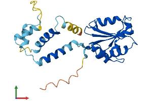 AlphaFold protein structure predicition of Mouse Recombinant Pdc Protein, UniprotID Q9QW08