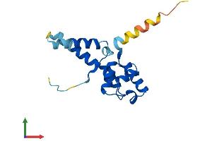 AlphaFold protein structure predicition of Mouse Recombinant Crcp Protein, UniprotID O35427