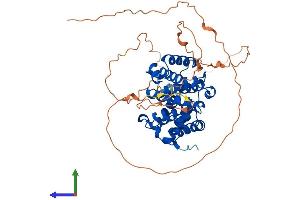 AlphaFold protein structure predicition of Human Recombinant CCNA1 Protein, UniprotID P78396