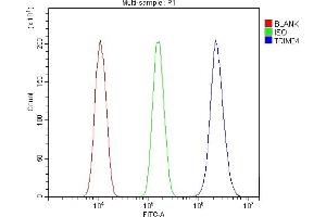 Flow Cytometry analysis of A431 cells using anti-TRIM24 antibody (ABIN7602359).