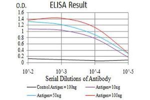 Black line: Control Antigen (100 ng), Purple line: Antigen(10 ng), Blue line: Antigen (50 ng), Red line: Antigen (100 ng), (SIRT6 anticorps  (AA 141-250))