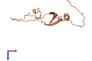 AlphaFold protein structure predicition of Human Recombinant FAM223B Protein, UniprotID A6NKX1