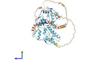 AlphaFold protein structure predicition of Human Recombinant ZFP69 Protein, UniprotID Q49AA0