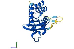 AlphaFold protein structure predicition of Human Recombinant APOBEC3C Protein, UniprotID Q9NRW3