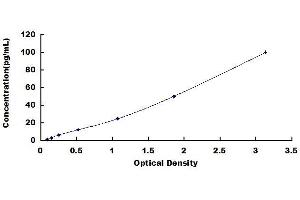 Typical standard curve (IL28B Kit ELISA)