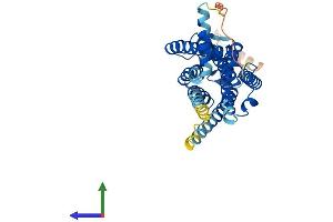 AlphaFold protein structure predicition of Mouse Recombinant Cnr2 Protein, UniprotID P47936