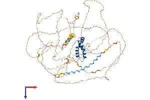 AlphaFold protein structure predicition of Mouse Recombinant Sox30 Protein, UniprotID Q8CGW4