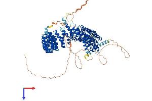 AlphaFold protein structure predicition of Human Recombinant PPP4R4 Protein, UniprotID Q6NUP7