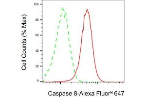Flow cytometric analysis of Caspase 8 expression in HeLa cells using Caspase 8 antibody (ABIN7797904), 1:2,000).