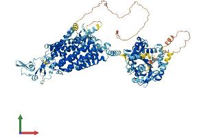 AlphaFold protein structure predicition of Mouse Recombinant Slc12a7 Protein, UniprotID Q9WVL3
