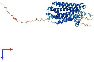 AlphaFold protein structure predicition of Human Recombinant MC3R Protein, UniprotID P41968