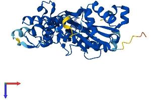 AlphaFold protein structure predicition of Mouse Recombinant Actr1b Protein, UniprotID Q8R5C5