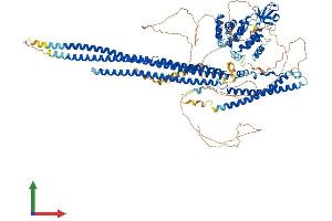 AlphaFold protein structure predicition of Human Recombinant SRGAP1 Protein, UniprotID Q7Z6B7
