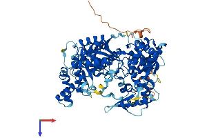 AlphaFold protein structure predicition of Human Recombinant GNPAT Protein, UniprotID O15228