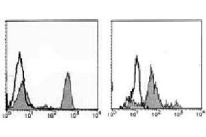 Flow Cytometry (FACS) image for anti-CD4 (CD4) antibody (ABIN1106337) (CD4 anticorps)