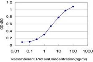 Detection limit for recombinant GST tagged ADAM2 is approximately 0. (ADAM2 anticorps  (AA 376-475))