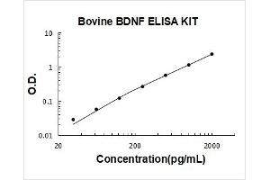 Bovine BDNF PicoKine ELISA Kit standard curve
