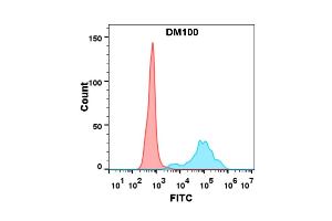 Flow cytometry analysis with Anti-CD40 (DM100) on Expi293 cells transfected with human CD40 (Blue histogram) or Expi293 transfected with irrelevant protein (Red histogram). (CD40 anticorps  (AA 21-193))