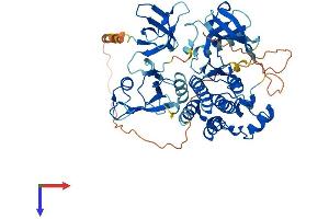 AlphaFold protein structure predicition of Mouse Recombinant Txk Protein, UniprotID P42682