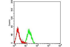 Flow cytometric analysis of Raji cells using CD319 mouse mAb (green) and negative control (red).