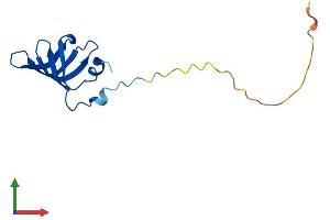 AlphaFold protein structure predicition of Human Recombinant SNRPD1 Protein, UniprotID P62314