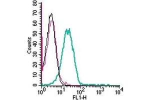 Cell surface detection of GPR174 in live intact human Jurkat T-cell leukemia cells: + goat-anti-rabbit-FITC.