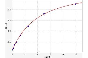 Typical standard curve (ILVBL Kit ELISA)