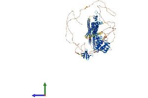 AlphaFold protein structure predicition of Mouse Recombinant Srgap1 Protein, UniprotID Q91Z69