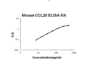 Mouse MIP-3 alpha/CCL20 PicoKine ELISA Kit standard curve (CCL20 Kit ELISA)