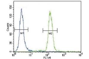 Puma antibody flow cytometric analysis of HeLa cells (right histogram) compared to a negative control (left histogram).