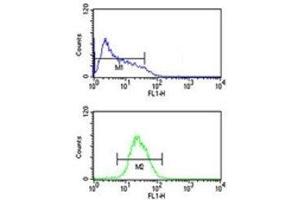 ATF7 antibody flow cytometric analysis of HL-60 cells (bottom histogram) compared to a negative control (top histogram).