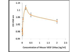 Activity Assay (AcA) image for Vascular Endothelial Growth Factor (VEGF) (Active) protein (ABIN5509471)
