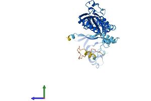 AlphaFold protein structure predicition of Human Recombinant P2RX3 Protein, UniprotID P56373