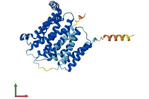 AlphaFold protein structure predicition of Mouse Recombinant Slc35a1 Protein, UniprotID Q61420